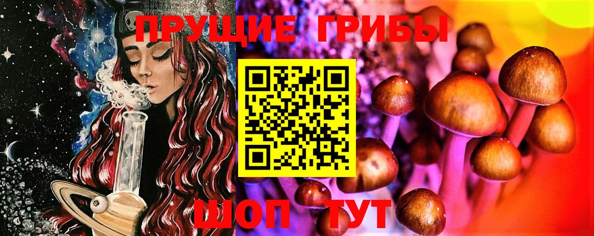 Галлюциногенные грибы прущие грибы  Вход с VPN  Каспийск  Псилоцибиновые грибы Cubensis 